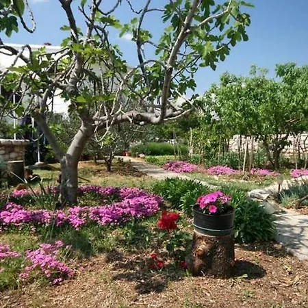 With Parking Space Baska, Krk - 23742 巴斯卡